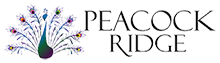 dark logo